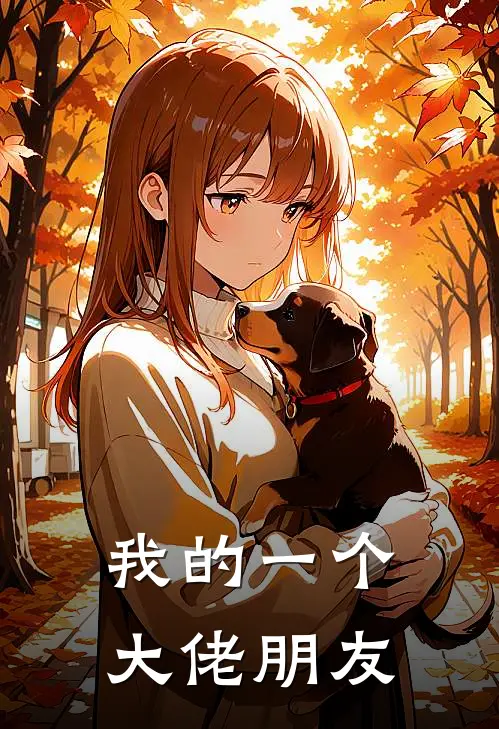 我的一个大佬朋友
